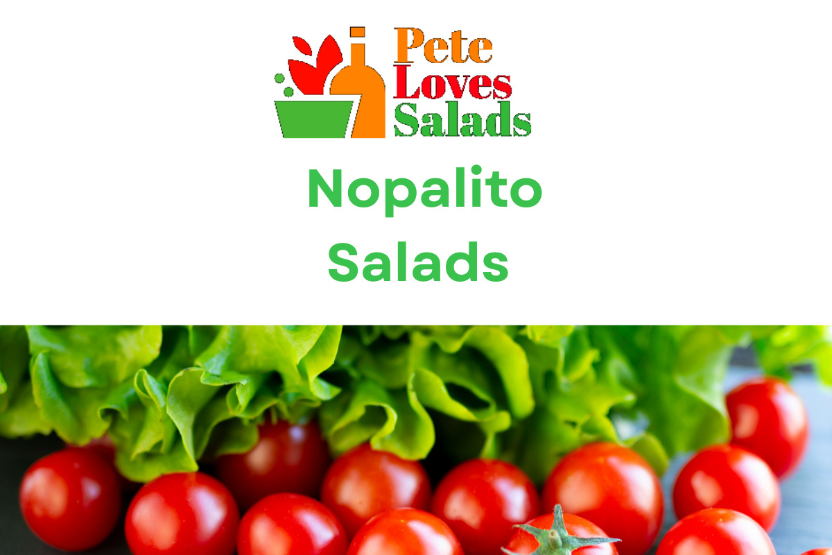 You are currently viewing The 7 best Nopalito salad recipes