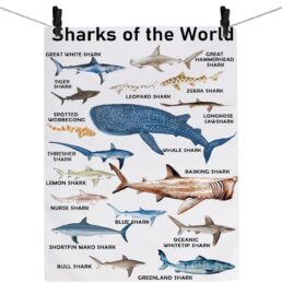 Sharks of The World Kitchen Towel Shark Tea Towel