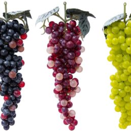 Artificial Grapes