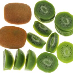 Artificial Kiwi