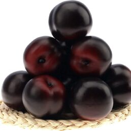 Artificial Plums