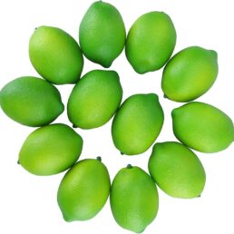 Artificial Limes