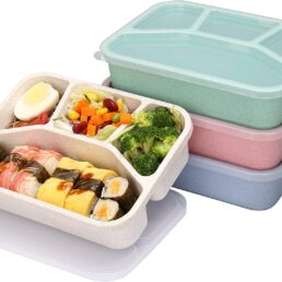 Bento Box