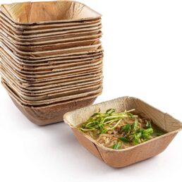Bamboo Plate Boats