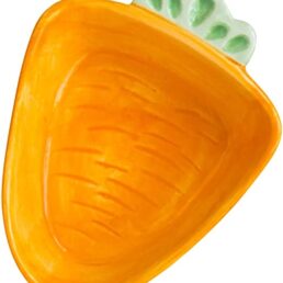Carrot Appetizer Plate