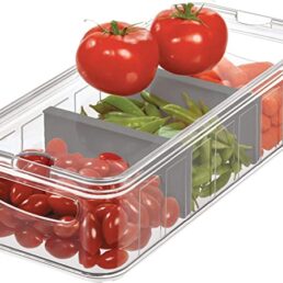 Refrigerator Divided Bin With Handles