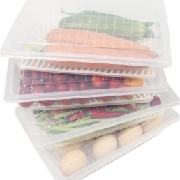 Flat Plastic Storage Containers