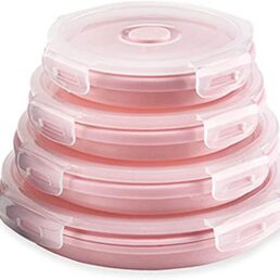 Collapsible Food Storage Container with Lids