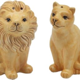 Salt and Pepper Shakers