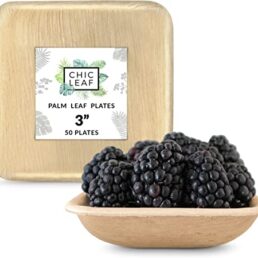 Mini Disposable Bamboo Plates