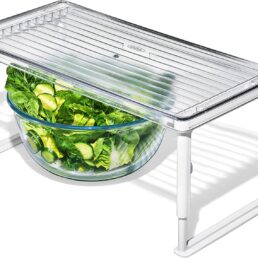 Refrigerator Shelf Riser
