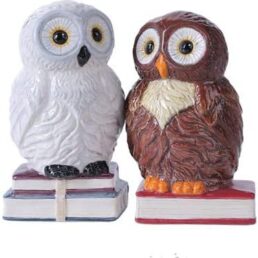 Owl Salt & Pepper Shakers