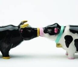 Cow and Bull Salt & Pepper Shakers