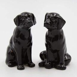 Black Labradors Salt & Pepper Shakers