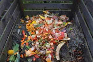 Read more about the article Best Kitchen Compost Bins