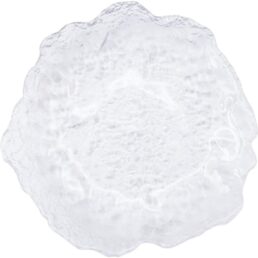 Glass Dinner Plates