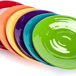 11-Inch Melamine Plates (Set of 6)