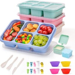 4 Pack Bento Snack Box, 5 Compartment Lunchable Snack Containers