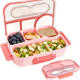Bento Box Adult Lunch Box