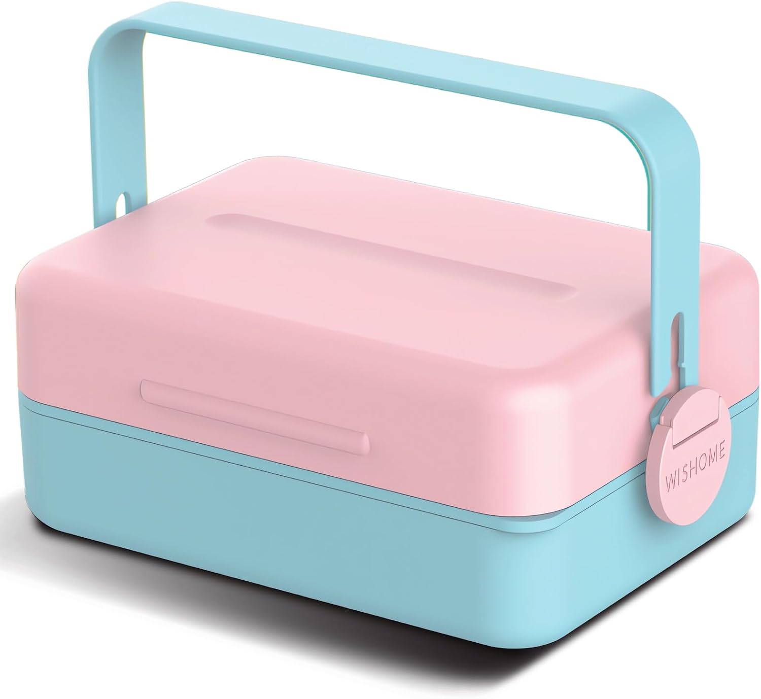 Color Matching Bento Box
