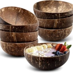 8 Pack Natural Coconut Shell Bowls Set